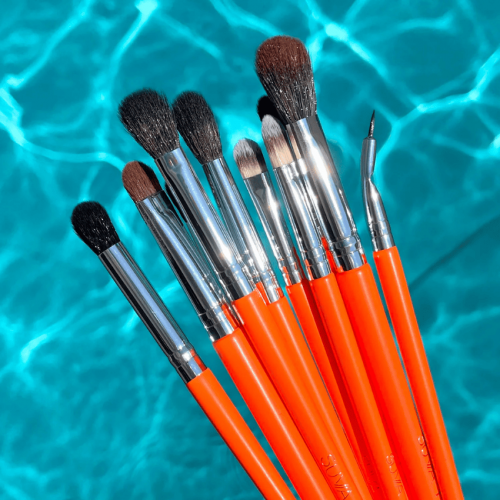 Silmapintslite Komplekt Neon Brush Set (10 tk.)