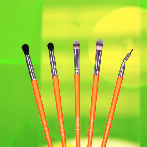 Silmapintslite Komplekt Neon Brush Set (10 tk.)