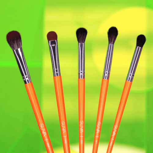 Silmapintslite Komplekt Neon Brush Set (10 tk.)